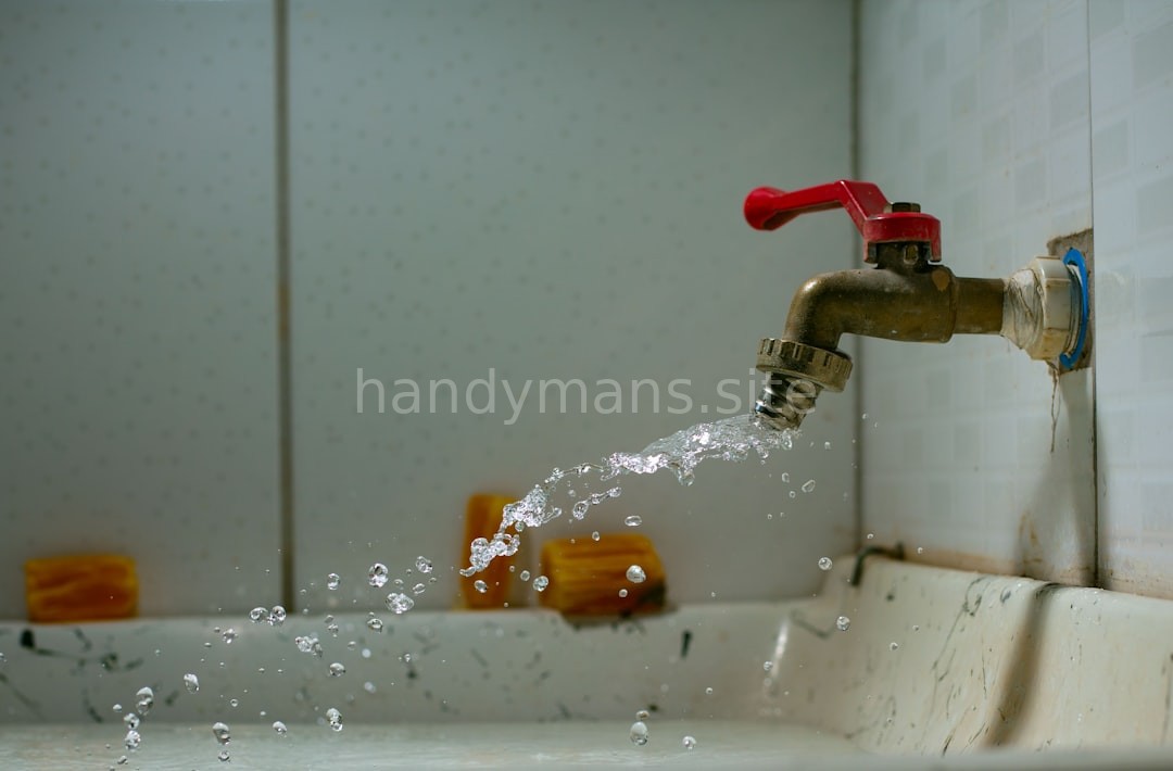 Expert Plumber working