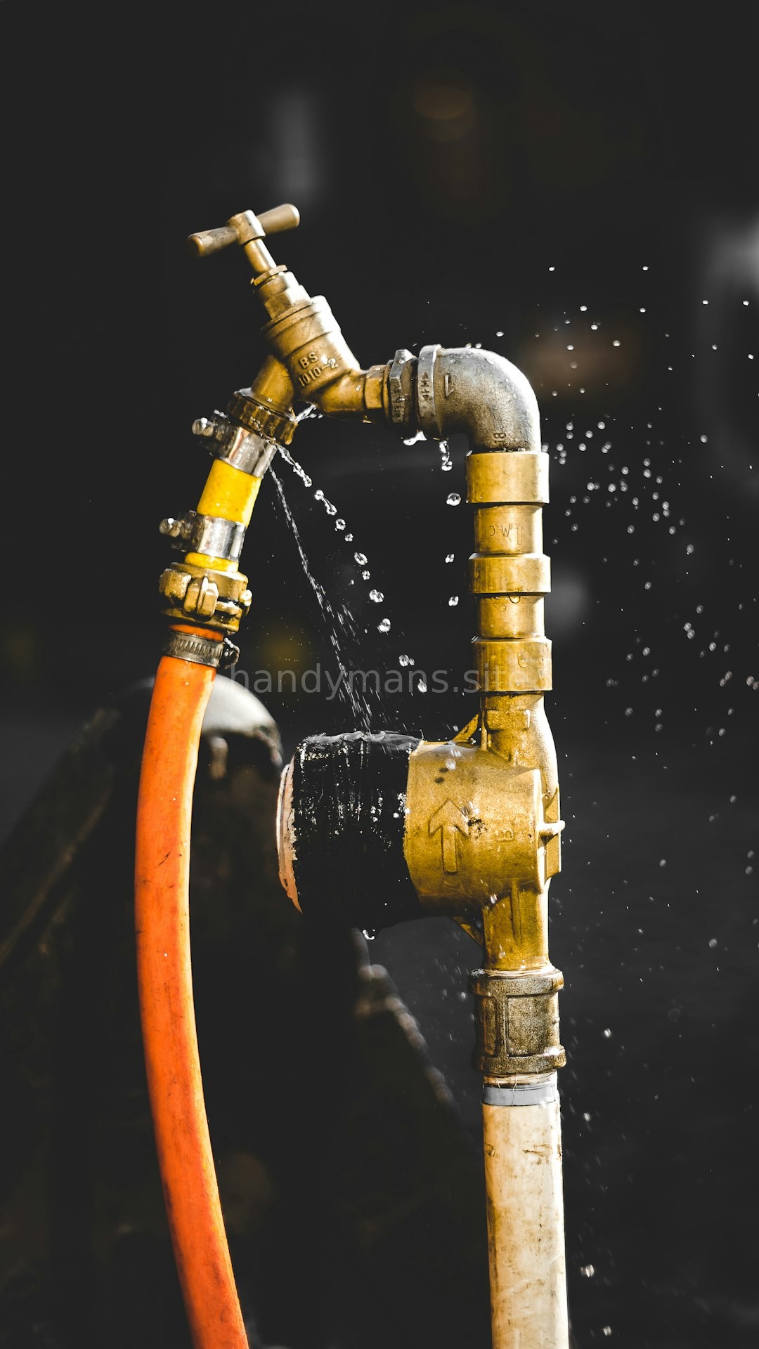 Reel 4